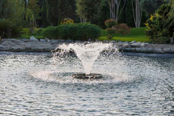 Learn More About Ponds Fountains Services