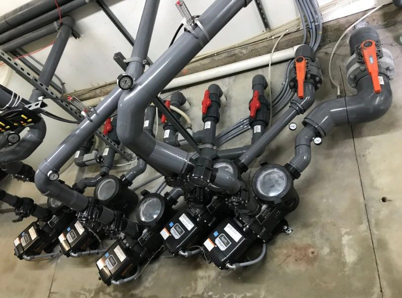 pool power dba of eric john walters contracting 2025 11 21T18:59:56.764372Z 71551.42473194427 1